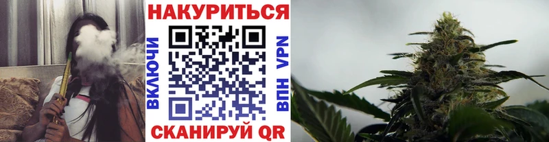 Бошки марихуана план  Бодайбо 